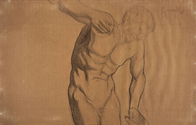Untitled [Model's upper body]