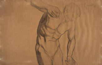 Untitled [Model's upper body]