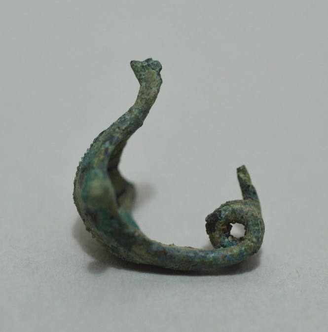 Fibula "a navicella," with triple spring and knobs at side of bow, with incised decoration and longitudinal ridge on bow.