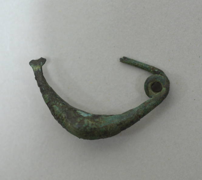Fibula "a sanguisuga" with incised furrows across bow, triple spiral spring