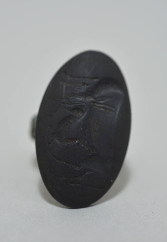 Ring with large bezel, molded in relief with anibex sheckling its youth