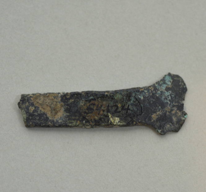 Fragmentary celt