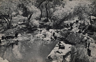 100 Boots at the Pond (100 Boots Go East)