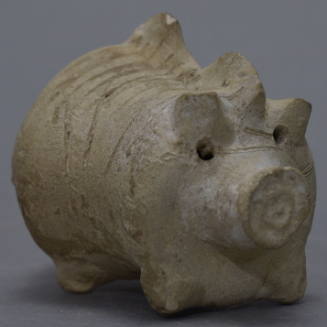 Pig, with incision across the back