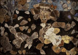 Butterfly Collage