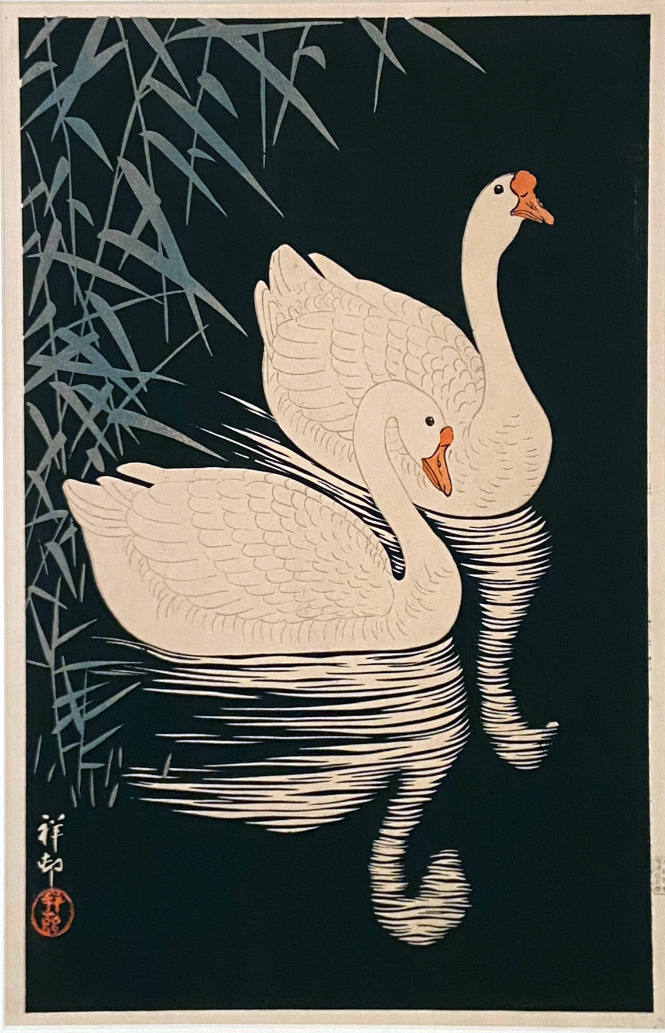 Two Swans