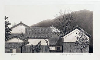 White Wall and House