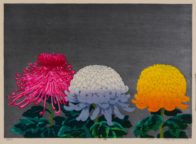 Great Wheel [Chrysanthemums]