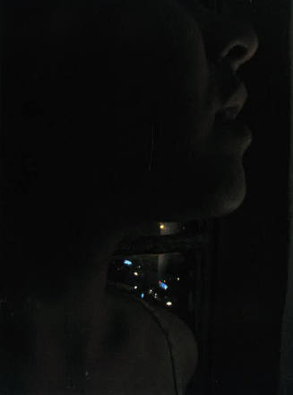 April 8, from 365 Days: A Catalogue of Tears