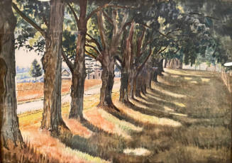 The Maple Row