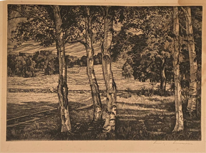 Between Birches