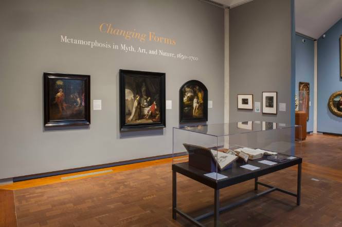 Changing Forms: Metamorphosis in Myth, Art, and Nature, 1650–1700