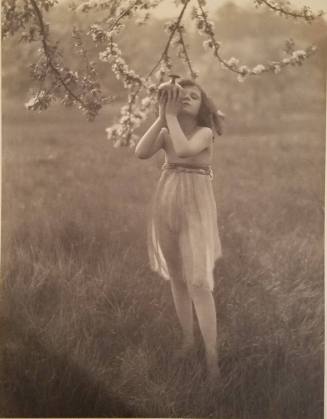 Virginia Myers
