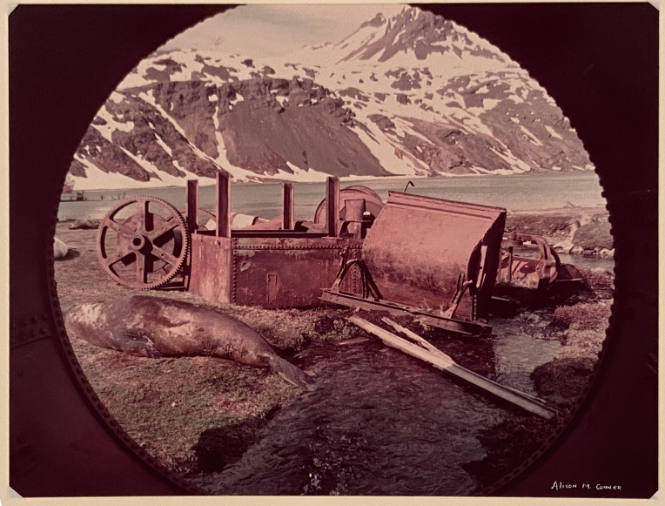 Whaling Machinery (South Georgia)