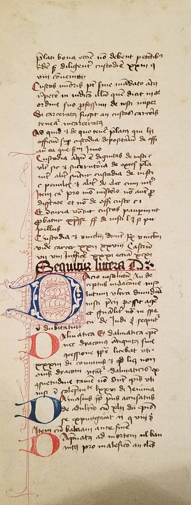 Manuscript Page: ... Sequitus  littesa D ...
