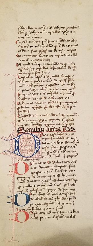 Manuscript Page: ... Sequitus  littesa D ...