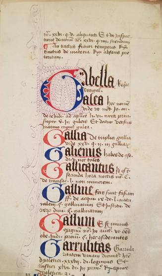 Manuscript Page: Gabella ... Galea ...