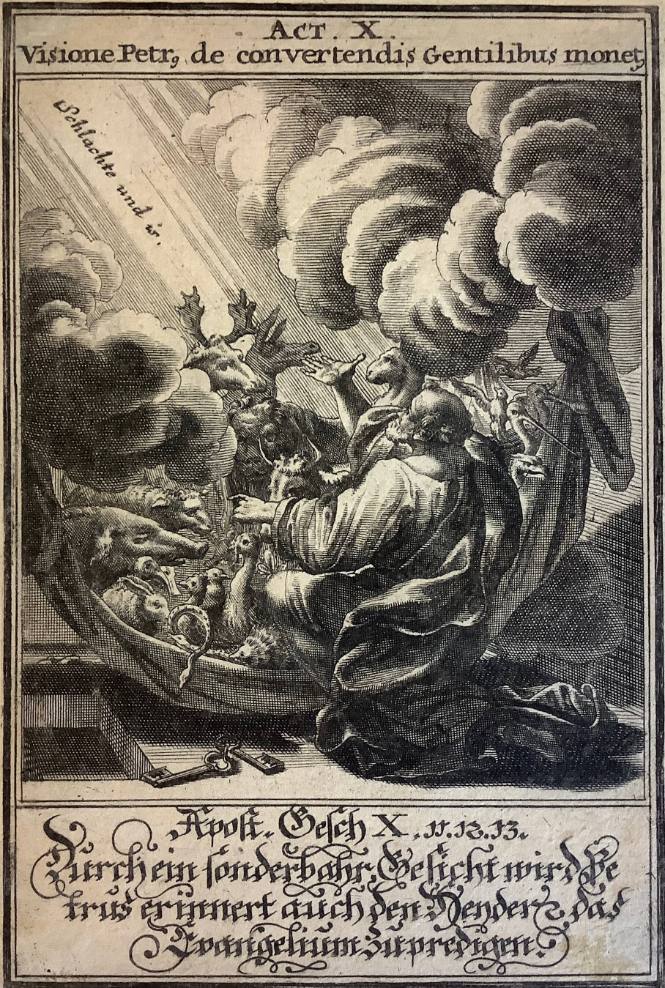 Vision of Peter
