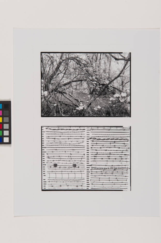 Untitled (Landscape and barbed wire) 