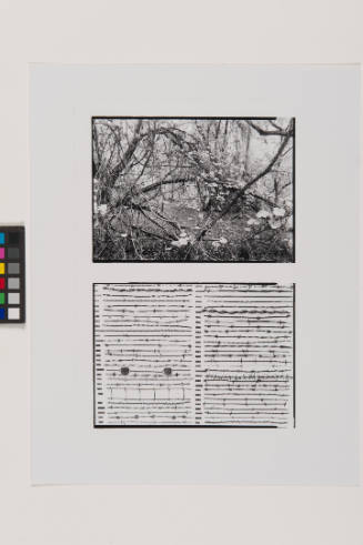 Untitled (Landscape and barbed wire) 