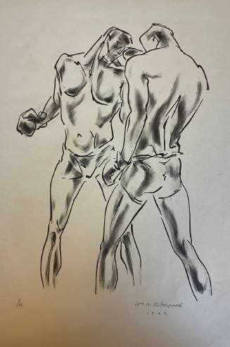 Boxer Series