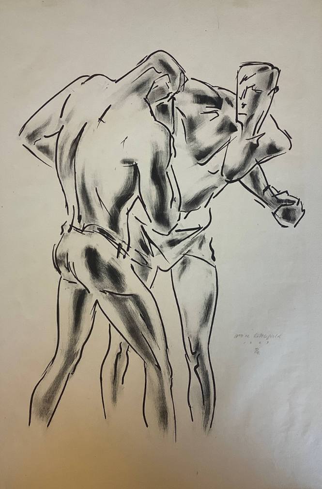 Boxer Series
