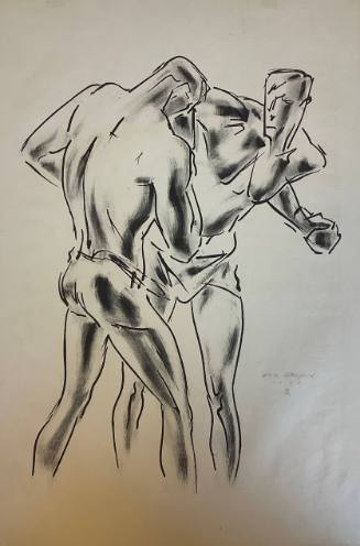 Boxer Series