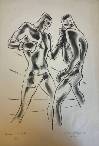 Boxer Series
