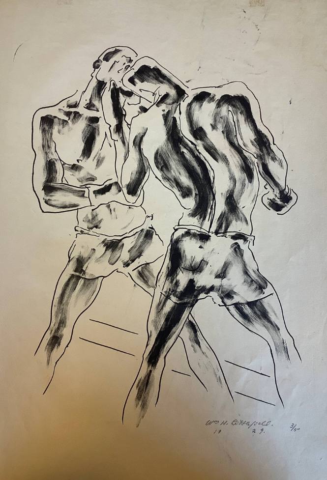 Boxer Series