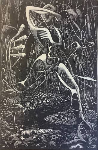 Metamorphosis