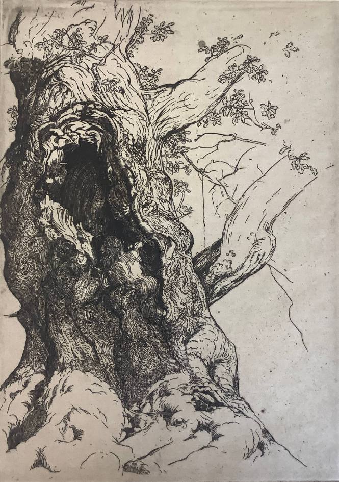 Study of an Oak Tree