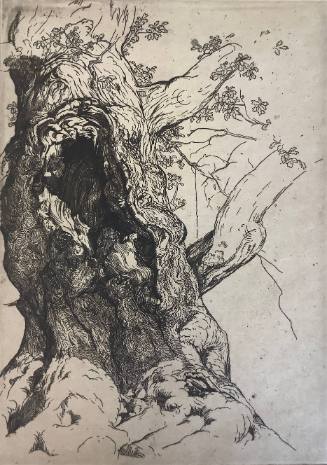 Study of an Oak Tree