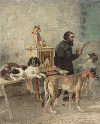 Dog Trainer