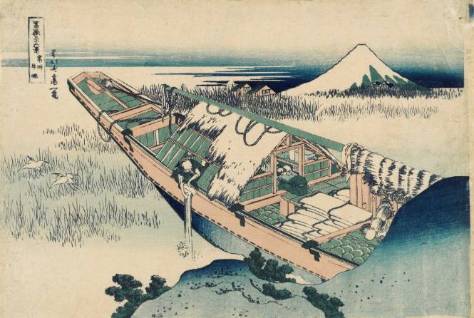 Fuji viewed from Ushibori