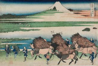 The New Rice Fields at Ono