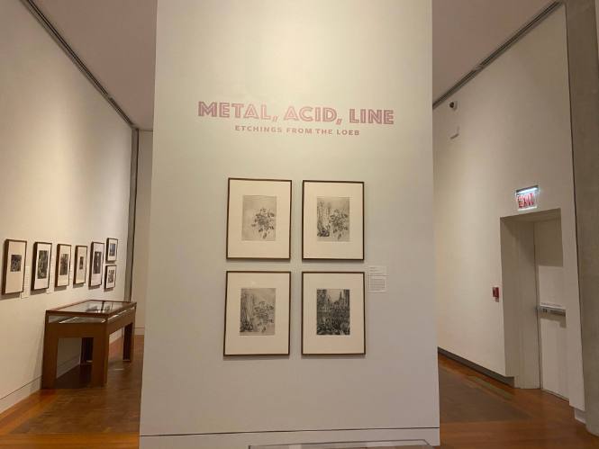 Metal, Acid, Line: Etchings from the Loeb