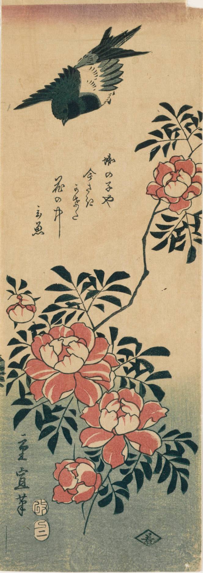 [Sparrow and Peonies]