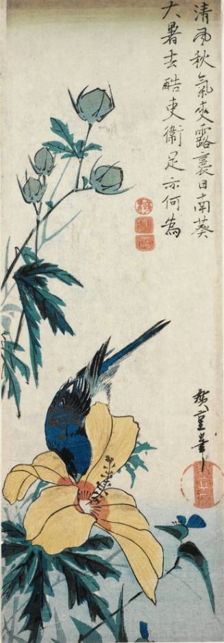 [Blue Bird and Yellow Hibiscus]