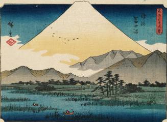 Fuji Marsh in Suruga Province