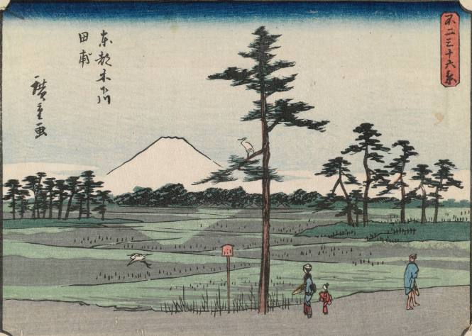 Rice Paddies at Kinoshitagawa in Edo