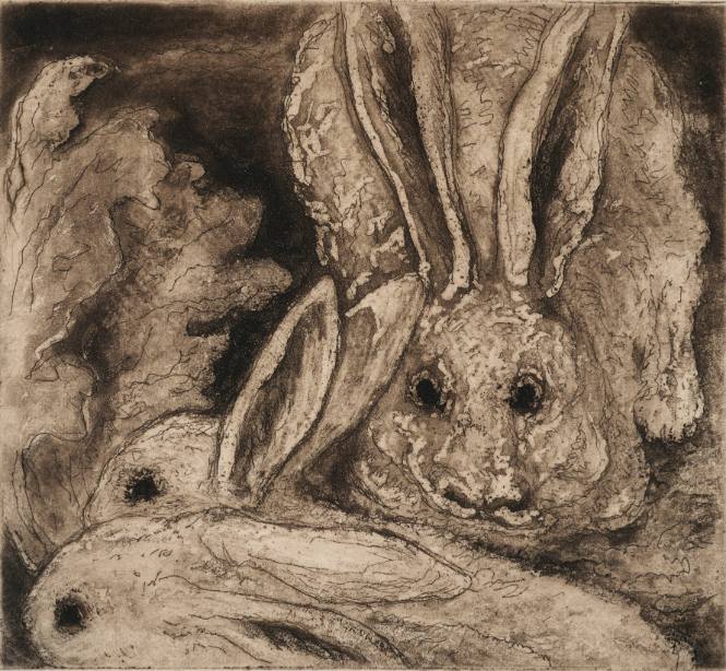 Rabbits
