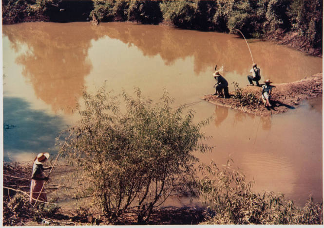 Negroes fishing in creek near cotton plantations outside Belzoni Mississippi Delta