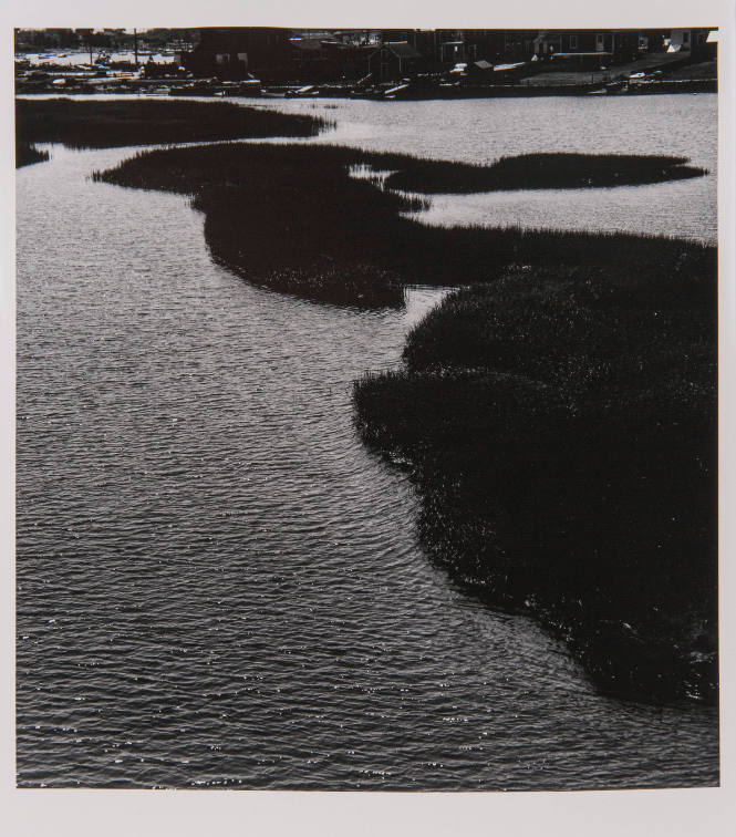 Westport Marsh 11