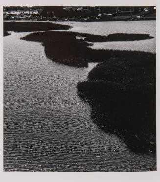Westport Marsh 11