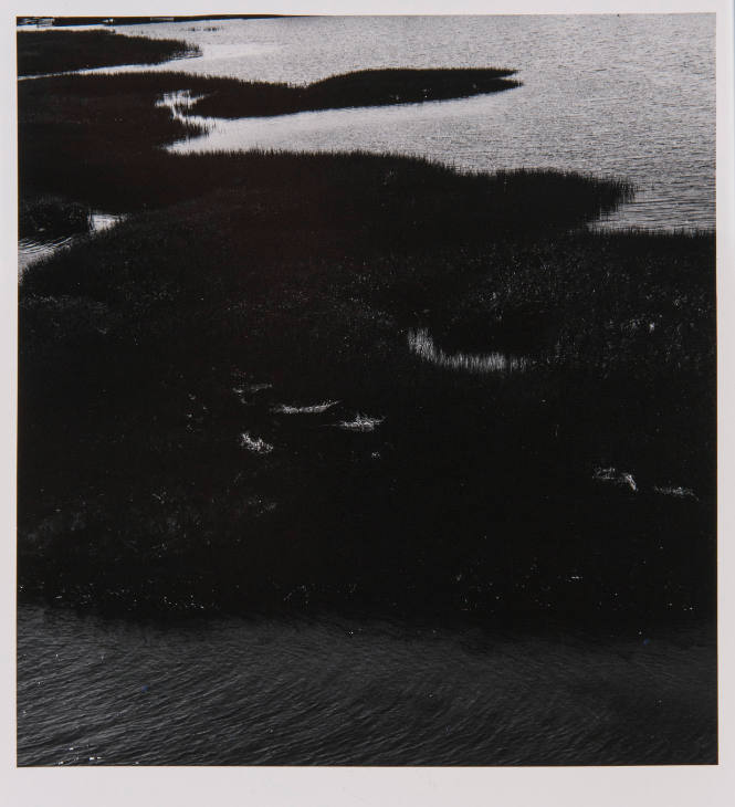Westport Marsh 3