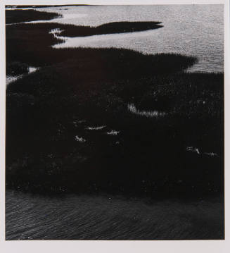 Westport Marsh 3