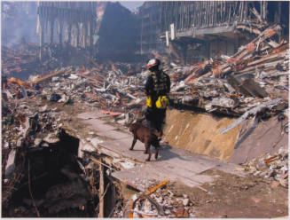 [Rescue worker with dog]