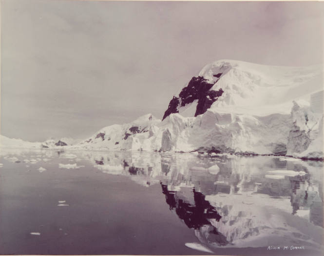 Paradise Bay, Antarctic Peninsula