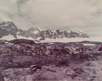 Port Lochroy (Antartic Peninsula)