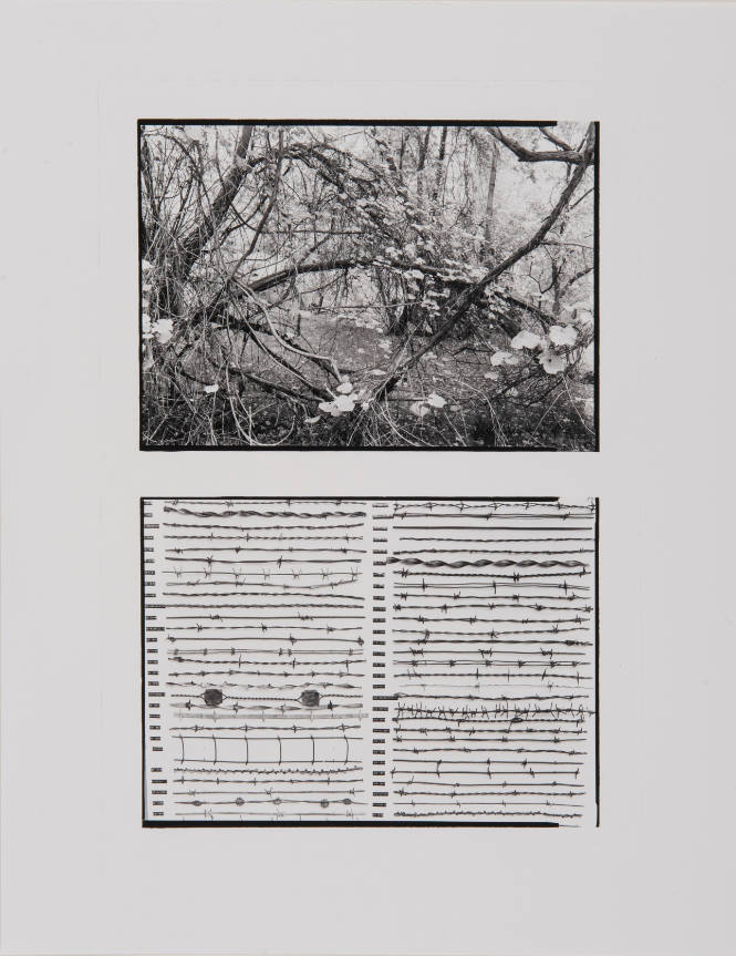 Untitled (Landscape and barbed wire) 